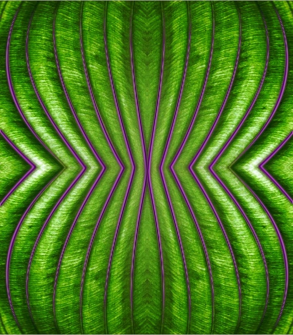 Creation of Green Shape: Step 4